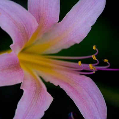 IMG_3290a