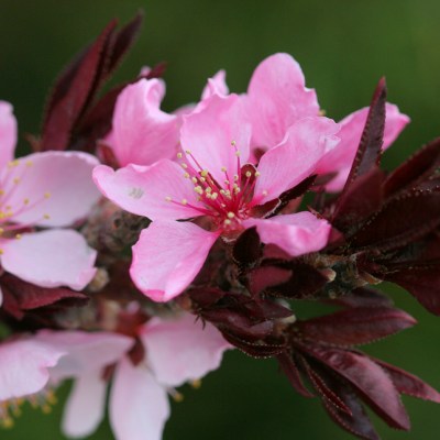 IMG_0103a