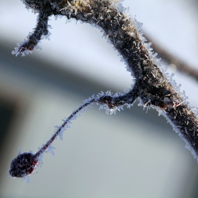 IMG_0790a1